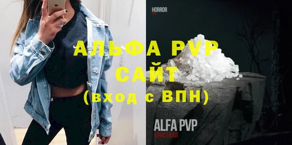 спиды Вяземский