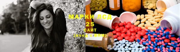 спиды Вяземский