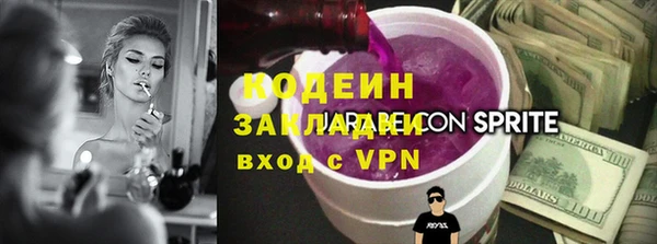 спиды Вяземский