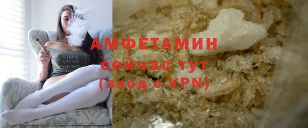 спиды Вяземский