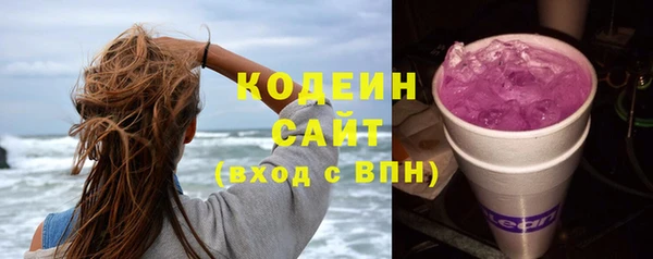 спиды Вяземский