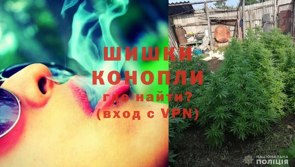 спиды Вяземский