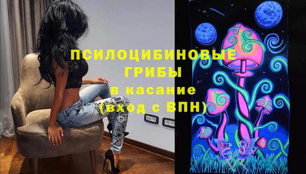 спиды Вяземский