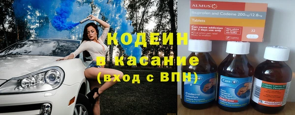 спиды Вяземский