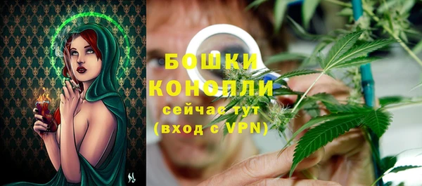 спиды Вяземский