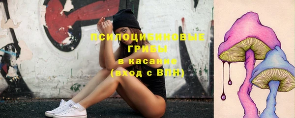 2c-b Вязьма