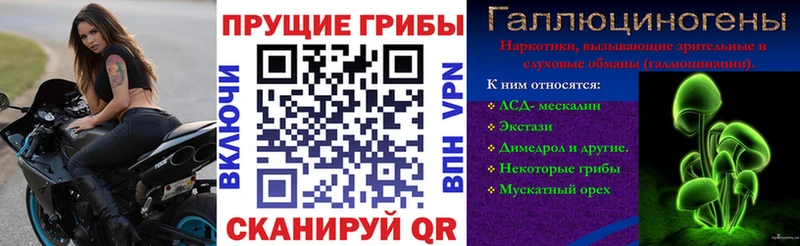 Галлюциногенные грибы прущие грибы  OMG ссылки  дарк нет наркотические препараты  где купить наркотик  Злынка 